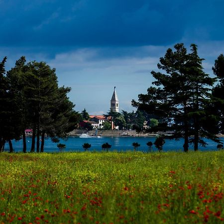 Belvedere Holidays Villas Новиград Екстериор снимка